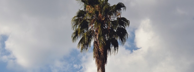 Linda Vista