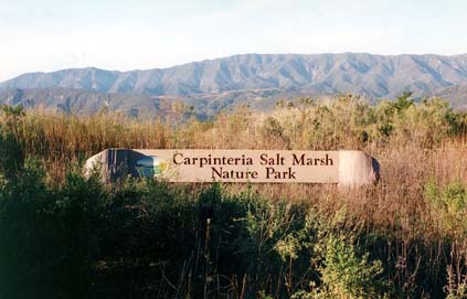 Carpinteria Salt Marsh Nature Park