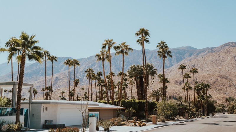 Palm Springs Vacation Guide